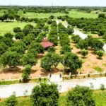 open plots for sale in yadagirigutta open plots near Yadagirigutta